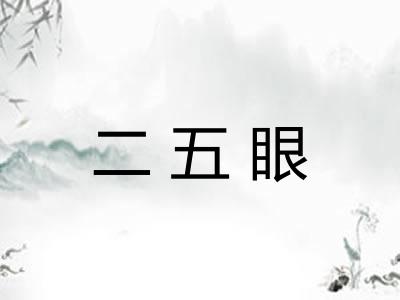 二五眼 二五眼