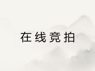 在线竞拍 在线竞拍