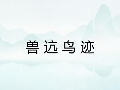 兽迒鸟迹 兽迒鸟迹