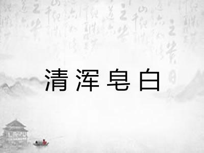 清浑皂白 清浑皂白