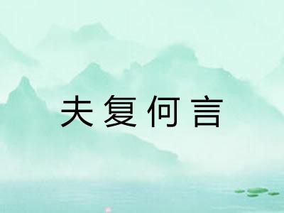 夫复何言 夫复何言