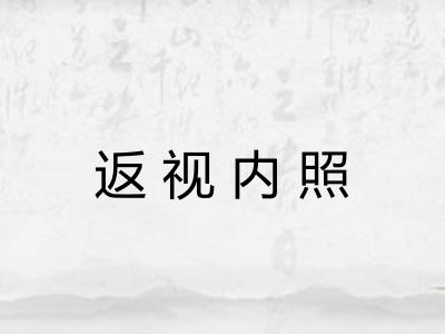返视内照 返视内照