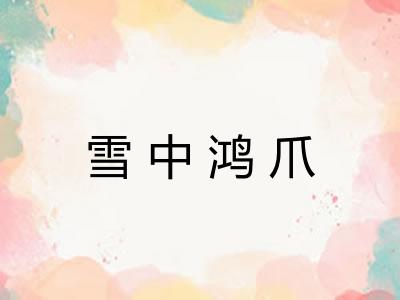 雪中鸿爪 雪中鸿爪