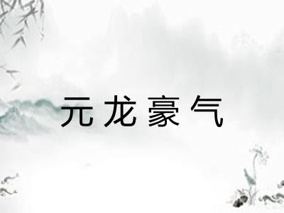 元龙豪气 元龙豪气