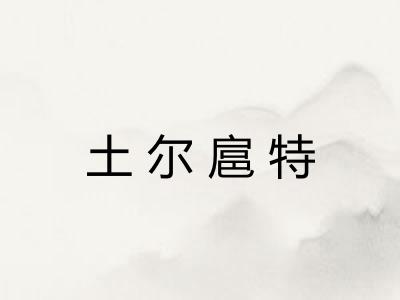 土尔扈特 土尔扈特