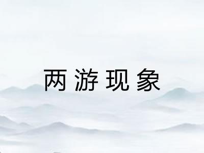 两游现象 两游现象