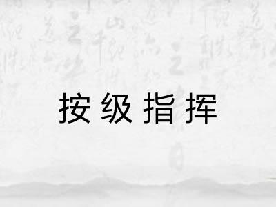 按级指挥 按级指挥