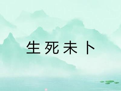 生死未卜 生死未卜