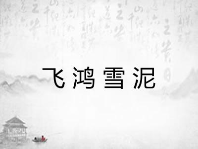 飞鸿雪泥 飞鸿雪泥