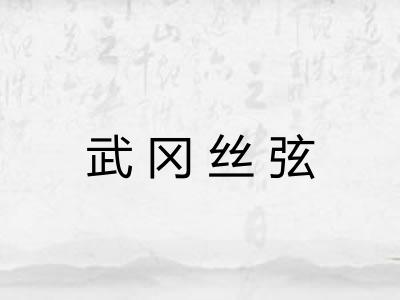 武冈丝弦 武冈丝弦