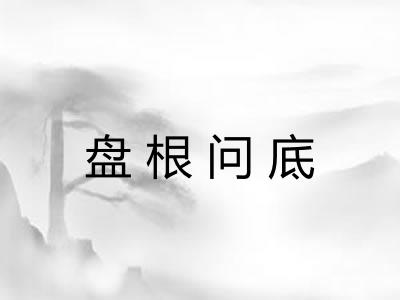 盘根问底