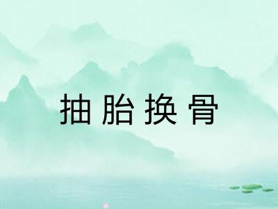 抽胎换骨 抽胎换骨