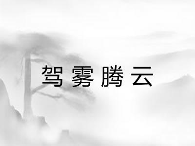 驾雾腾云 驾雾腾云