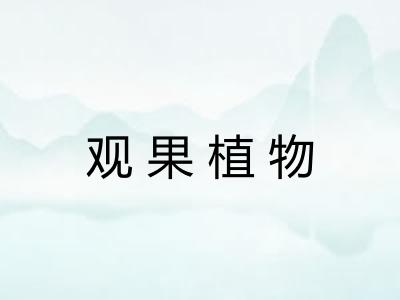 观果植物 观果植物