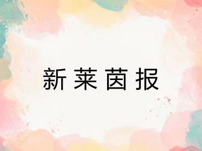 新莱茵报 新莱茵报