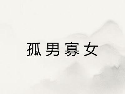 孤男寡女