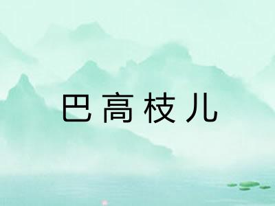 巴高枝儿 巴高枝儿