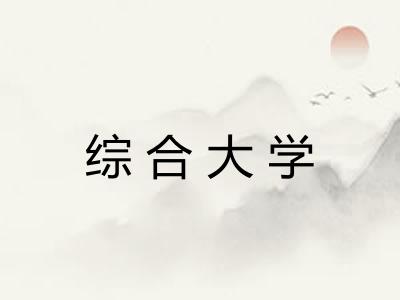 综合大学 综合大学