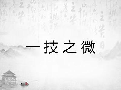 一技之微