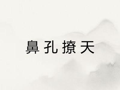 鼻孔撩天 鼻孔撩天