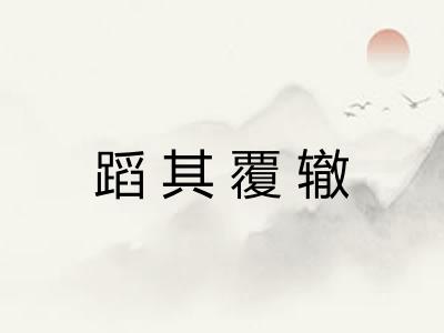 蹈其覆辙 蹈其覆辙