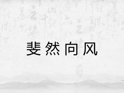 斐然向风 斐然向风