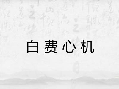 白费心机 白费心机
