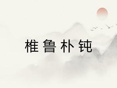 椎鲁朴钝 椎鲁朴钝