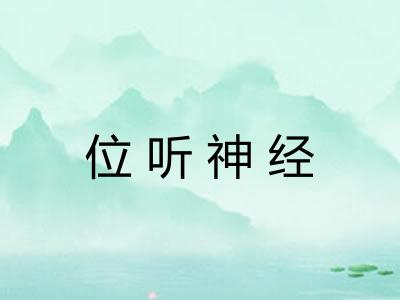 位听神经 位听神经