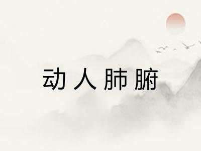 动人肺腑 动人肺腑