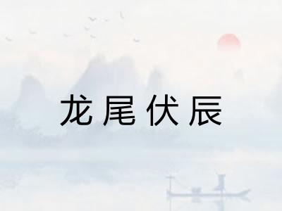 龙尾伏辰