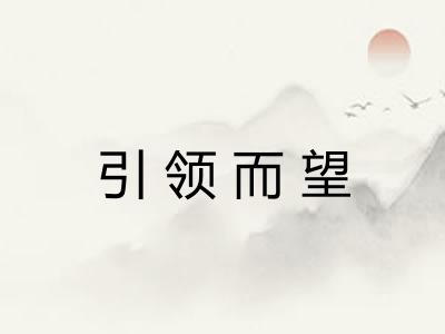 引领而望