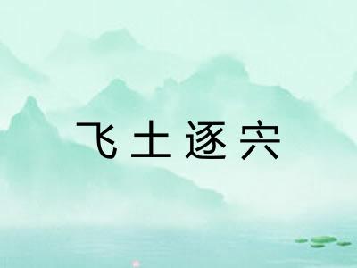 飞土逐宍