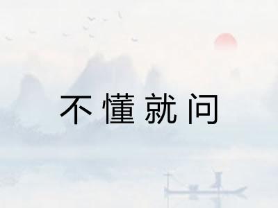 不懂就问