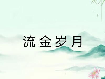 流金岁月 流金岁月