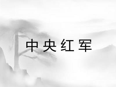 中央红军 中央红军