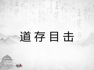 道存目击 道存目击