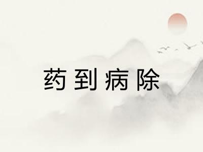 药到病除 药到病除