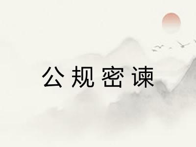 公规密谏