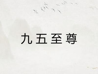 九五至尊 九五至尊