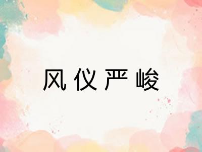 风仪严峻 风仪严峻