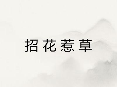 招花惹草 招花惹草