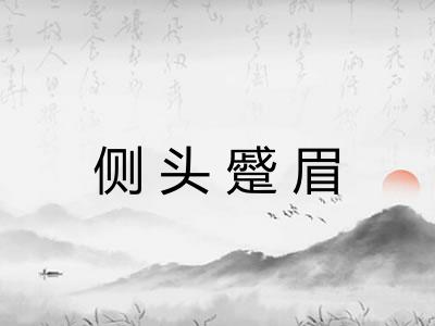 侧头蹙眉 侧头蹙眉