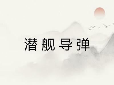 潜舰导弹 潜舰导弹