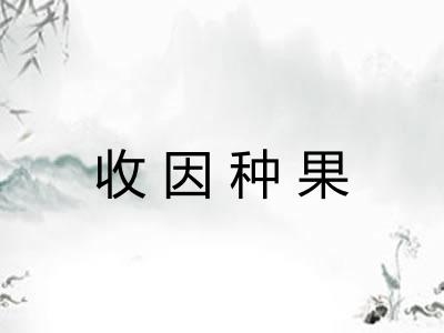收因种果