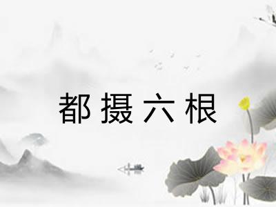 都摄六根 都摄六根