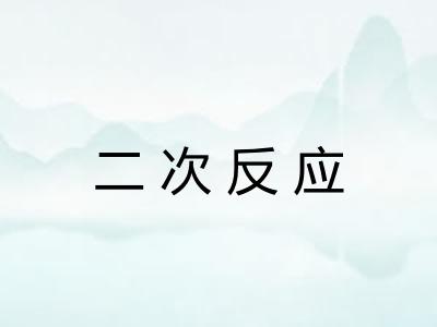二次反应 二次反应