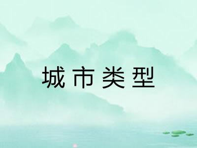 城市类型 城市类型