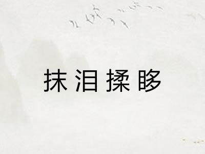 抹泪揉眵 抹泪揉眵