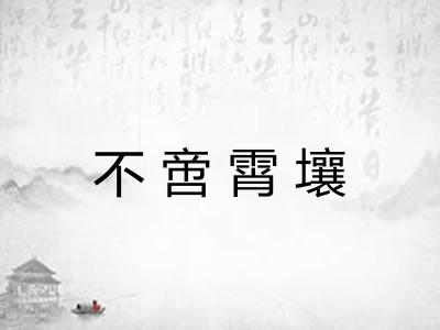 不啻霄壤 不啻霄壤